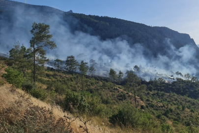 Mut'ta orman yangını kontrol altına alındı: Soğutma çalışmaları devam ediyor