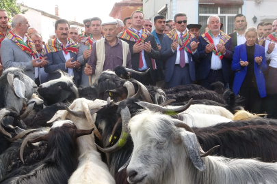 Isparta'da 400 yıllık geleneksel kurban indirme töreni yapıldı