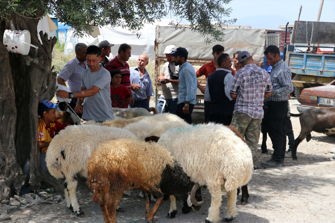 adana kurban pazarı