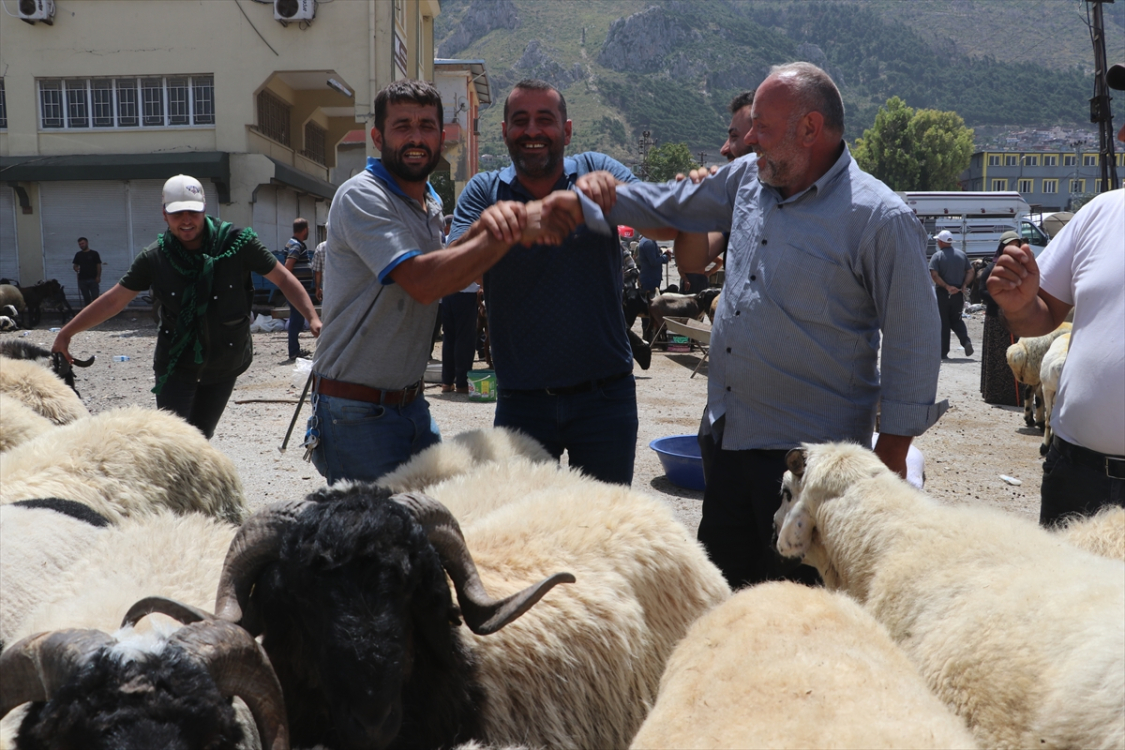 adana kurban pazarı