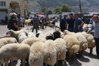 Adana, Mersin ve Hatay'da kurbanlık pazarlarında hareketlilik arttı