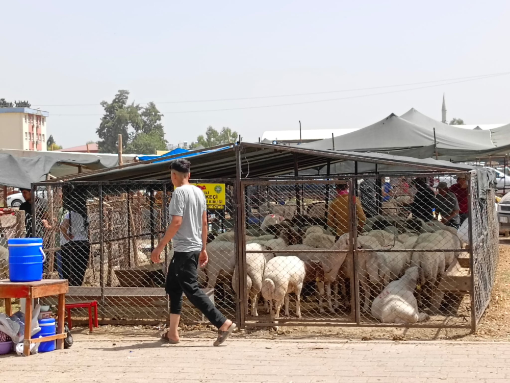 adana kurban bayramı