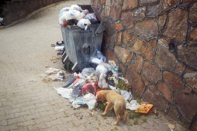 ‘Kurban atıklarının çöpe atılması, çevre ve sağlık sorunlarına yol açar’ uyarısı