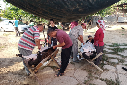 Adana'da Kurban Bayramı coşkusu