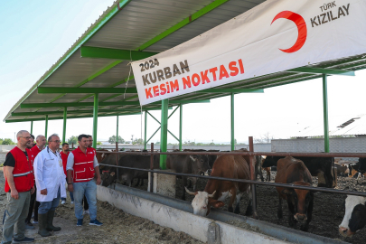 Türk Kızılayı, bayramda vekaletle kurban kesimlerine hız verdi