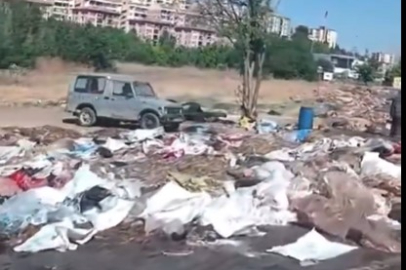 Gaziantep'te mide bulandıran görüntüler: Kurban atıklarını yol kenarına bıraktılar