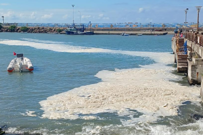 Düzce Akçakoca'da denizde görülen kirlilik alglerden kaynaklanıyor