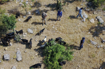 Adıyaman'da kaybolan küçükbaş sürüsü drone yardımı ile bulundu