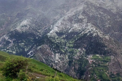 Artvin'de dolu yağışı tarım arazilerine zarar verdi