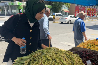 Erzincan'da şifa deposu ışkınlar son kez tezgahlarda