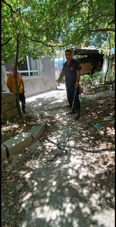 Hatay’da eve giren yılan itfaiye ekipleri tarafından yakalandı. Aşırı sıcaklarla birlikte Hatay’da yılanlar, insanların yaşam alanlarında sıklıkla görülmeye başlandı. Defne ilçesi Aşağıokçular Mahallesi’nde eve yılan girdiğini fark eden vatandaş, durumu itfaiye ekiplerine bildirdi. İhbar üzerine bölgeye giden itfaiye ekipleri yılanı yakalayarak doğal yaşam alanına bırakıldı