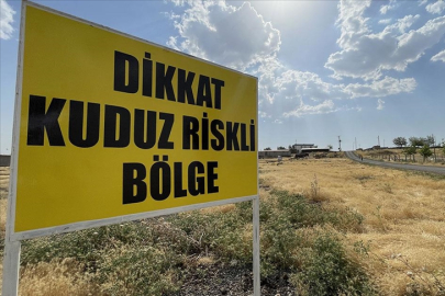 Şanlıurfa'da 1 mahalle kuduz nedeniyle karantinaya alındı