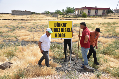 Şanlıurfa'da kuduz köpek alarmı: Bir mahalle daha karantinaya alındı