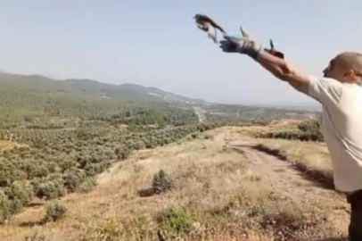 Osmaniye'de tedavi edilen 6 kuş doğal yaşamına geri bırakıldı