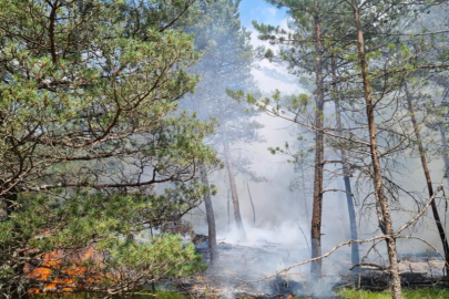 Amasya’da korkutan orman yangını