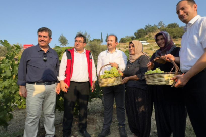 Mersin Tarsus'ta tarım kampüsü projesi kapsamında ilk ürünler hasat edildi