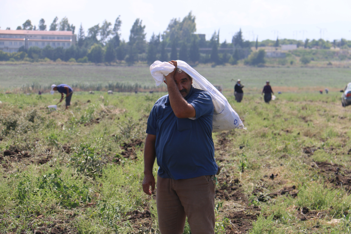 Depremzede çiftçi, satamadığı patatesi hayrına dağıttı