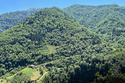 Doğa Derneği, bazı alanların orman sınırları dışına çıkartılmasının iptalini isteyecek