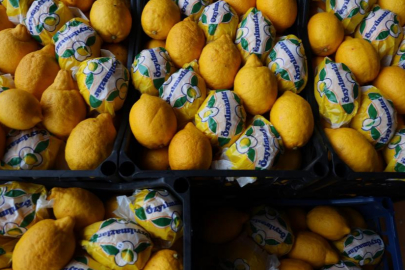 Sezonunda para etmeyen limon halde 50 lira