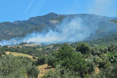 Adana Kozan'da ormanlık alanda çıkan yangına ekipler müdahale ediyor