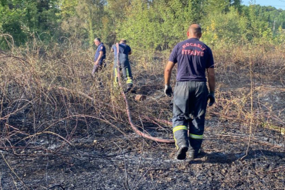 Kocaeli'de ağaçlık alan yandı: 10 hektar küle döndü