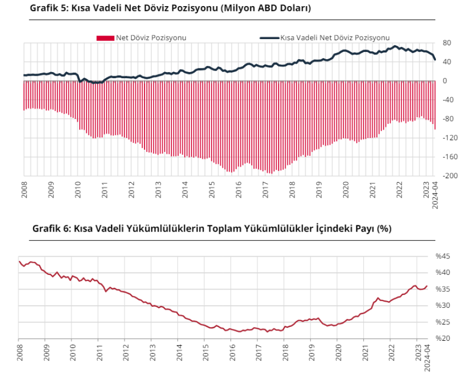 Nisan'da döviz varlıklarında gerileme, yükümlülüklerde artış yaşandı 5