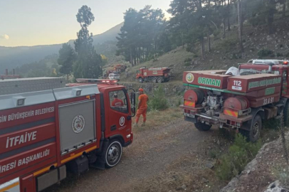 Tarsus ilçesinde orman yangını kısa sürede kontrol altına alındı