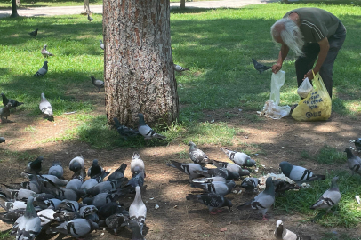 67 yıldır bütün vaktini hayvanlara yemek vererek geçiriyor