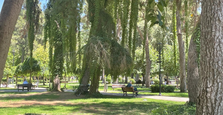  Atatürk Park’ı