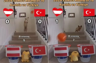 Kahin köpek Steph Furry Türkiye-Avusturya maç skorunu tutturdu