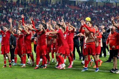 Türkiye, Hollanda'yı yenerse yarı finalde rakip hangi takım olacak?