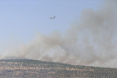 Kahramanmaraş'ta çıkan orman yangını kontrol altına alındı