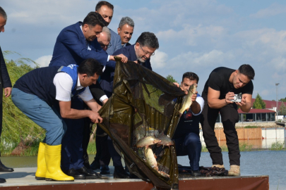 Bakan Yumaklı, Pelitözü Göleti'ne sazan balığı salımı gerçekleştirdi