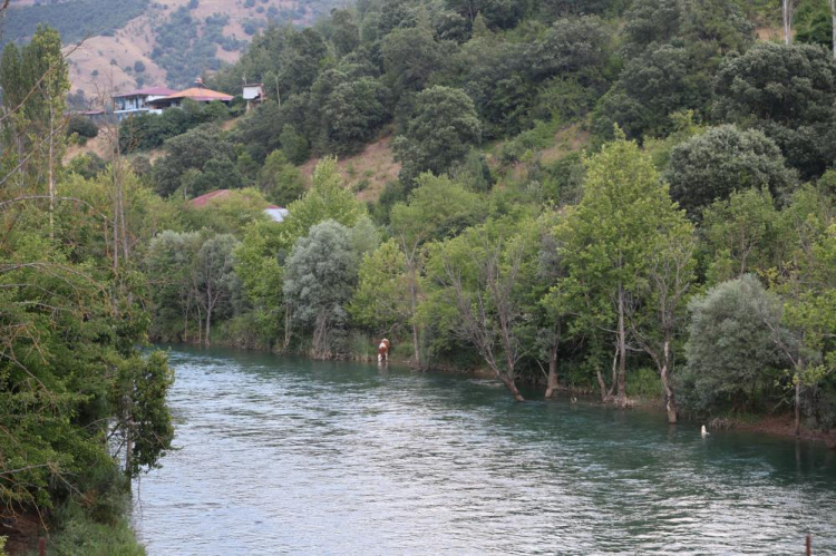 Mahmut Dal Mevsimlik işçi olarak girdiğim belediyede başkan oldum, şimdi ilçeyi eko turizmde gözde yapacağım 2