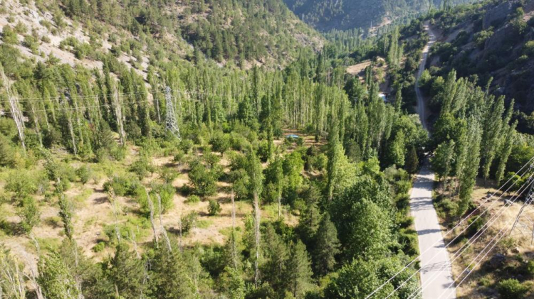 Mahmut Dal Mevsimlik işçi olarak girdiğim belediyede başkan oldum, şimdi ilçeyi eko turizmde gözde yapacağım 5