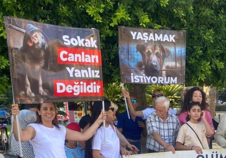 Yıldırım Ölüm yasasına tepkisiz kalmayacağız  1