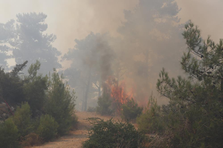 Bodrum'da orman yangınında müdahale 7. saate girdi 3