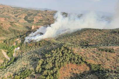 Aydın Germencik'te orman yangınına müdahale sürüyor