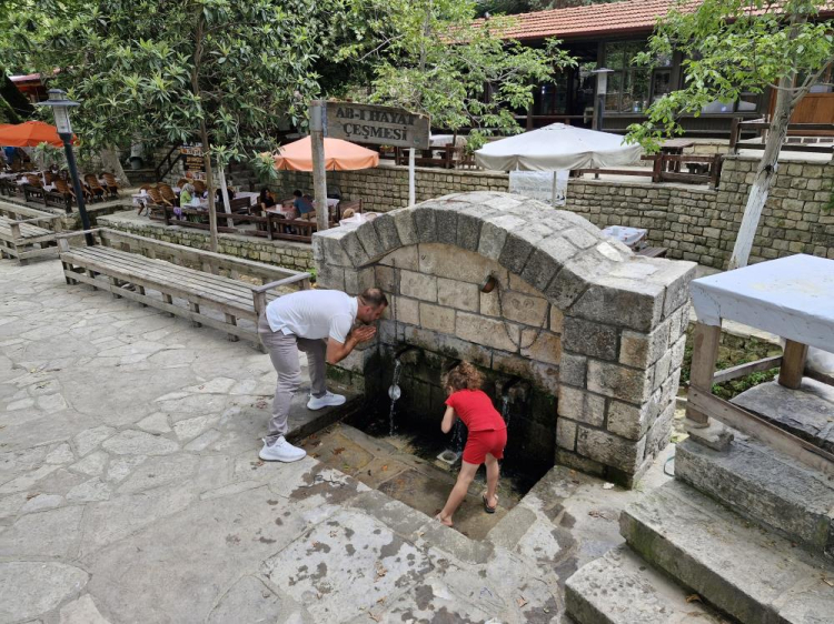 Hatay'ın kutsal mirası 3 bin yıllık Musa Ağacı dev cüssesiyle ilgi uyandırıyor 2