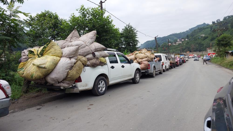 Rize'de çay üreticileri taban fiyatın altında alım yapan fabrikaları protesto etti 2