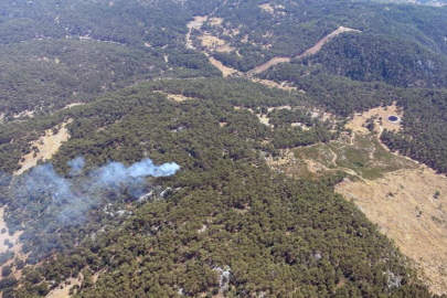 Muğla’da yıldırım kaynaklı yangın sayısı 11'e çıktı