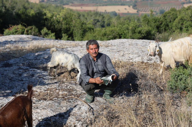 vehbi gülen 