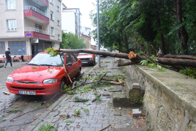 Ordu'da sağanak hayatı felç etti