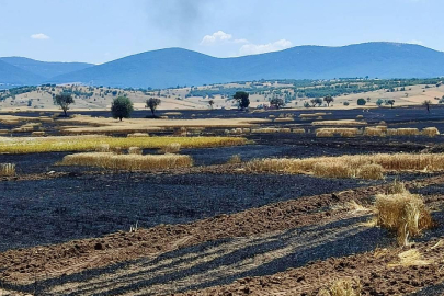 Eskişehir'in Han ilçesinde tarım arazisinde çıkan yangın söndürüldü