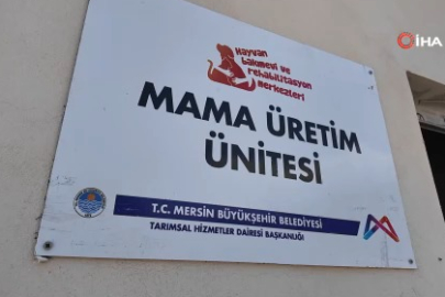 Mersin'de yemek atıkları mamaya dönüştürülüyor