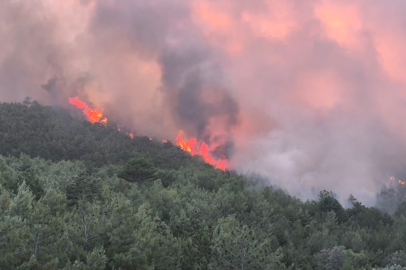 Uşak’ta ormanlık alandaki çıkan yangına müdahale devam ediyor