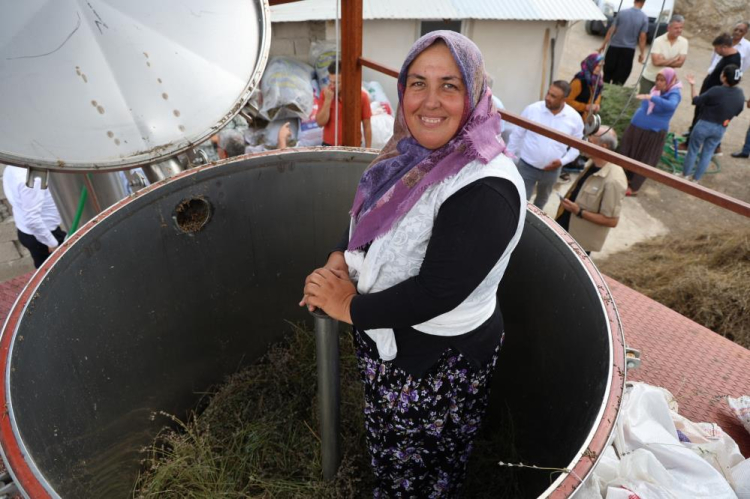 Adana Feke'de lavanta hasadı geleneksel yöntemlerle başladı 2