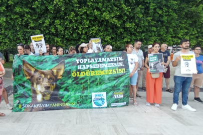 Av. Sevil Aracı: Hayvanlarımızı kaybetmek üzereyiz, destek bekliyoruz