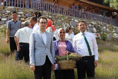 Feke'de başlayan lavanta hasadı görsel şölene dönüştü