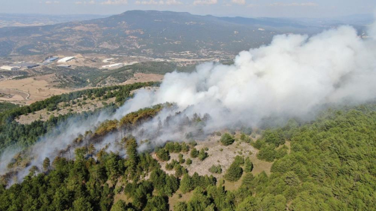 Karabük Kale Köyü'nde orman yangını 2